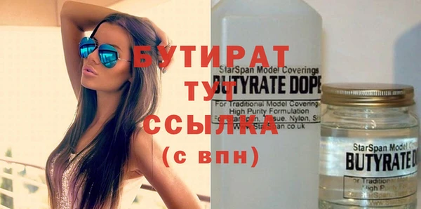 крисы Кулебаки