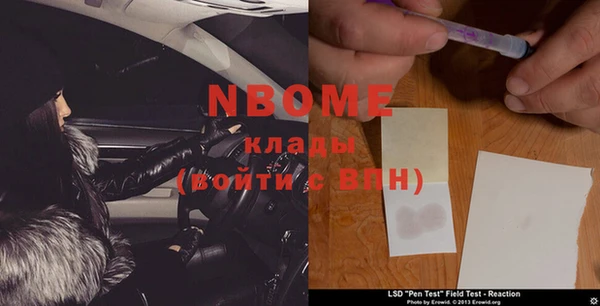 крисы Кулебаки