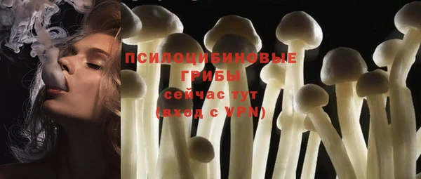 МДПВ Кукмор