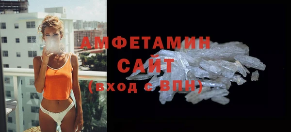 крисы Кулебаки