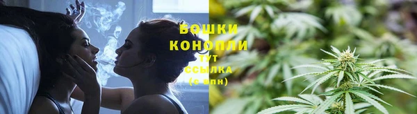 гидра Краснослободск