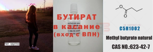 крисы Кулебаки