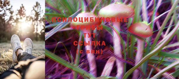 МДПВ Кукмор