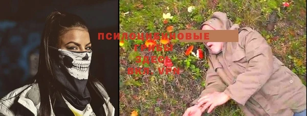 мдпв Краснотурьинск