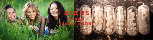 МДПВ Кукмор