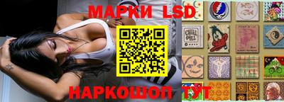 соль ск Аргун