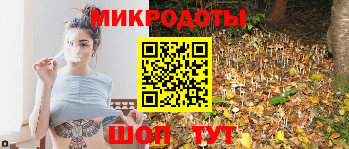 Галлюциногенные грибы Cubensis Маркс