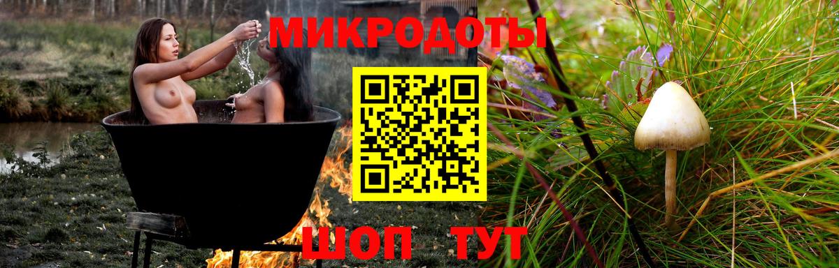 Галлюциногенные грибы прущие грибы Маркс