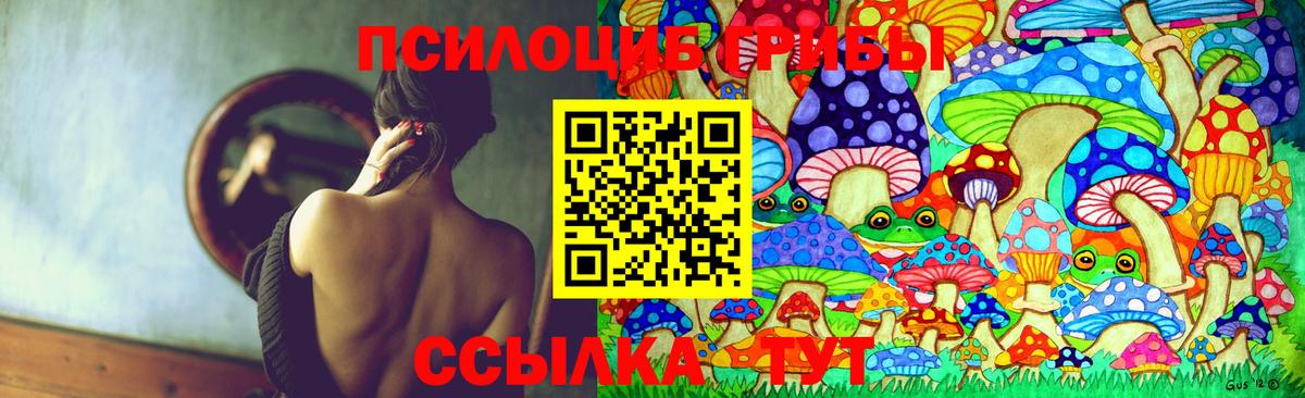 Псилоцибиновые грибы Psilocybine cubensis  Вход с VPN  Маркс  Галлюциногенные грибы Psilocybine cubensis 