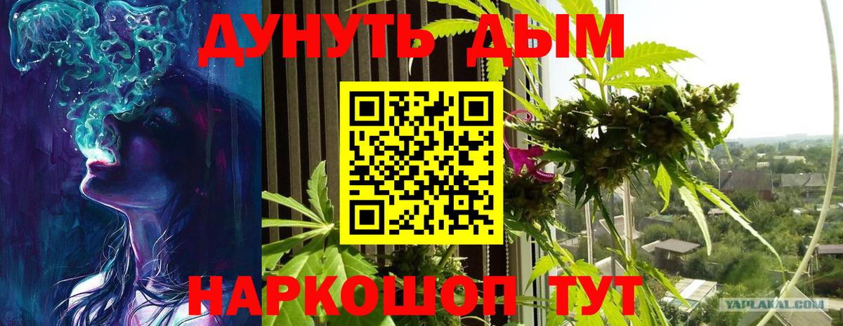 Бошки марихуана тримм  Конопля White Widow  Канабис конопля  Маркс  Вход с VPN 